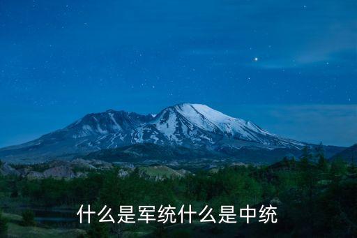 中統軍統，什么是軍統什么是中統