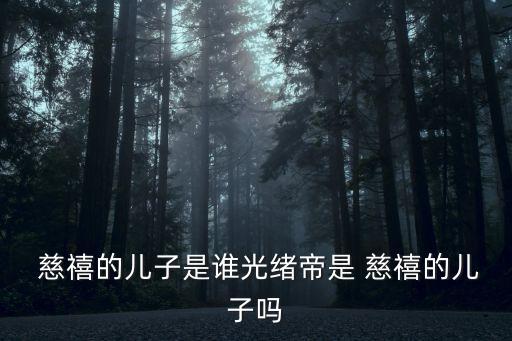 慈禧的兒子,光緒皇帝不是慈禧親生兒子而是乾禧養(yǎng)子