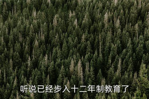 個別醞釀，聽說已經步入十二年制教育了