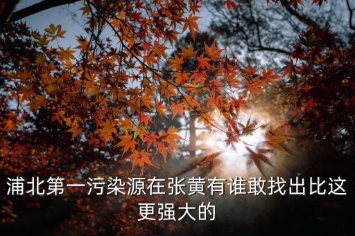 上海市浦北區污染案，最近熱點新聞