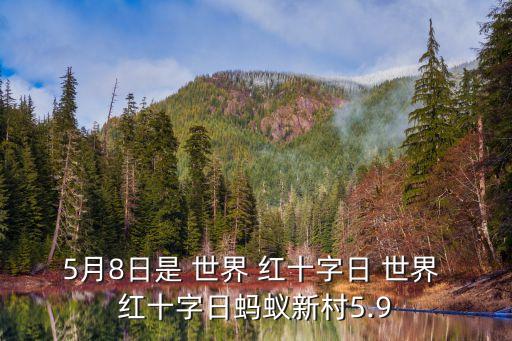 世界紅十字日,國際紅十字日紀念活動不分種族