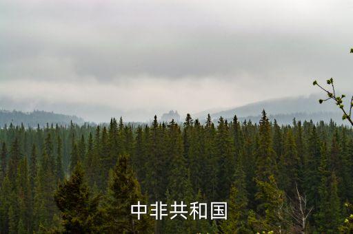  中非共和國