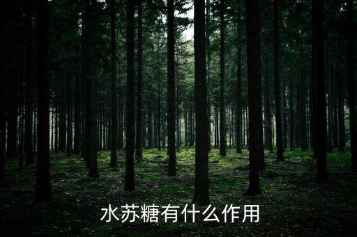  水蘇糖有什么作用