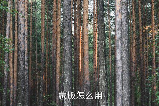 圖層蒙版怎么用,點擊圖片添加蒙版即可看到效果