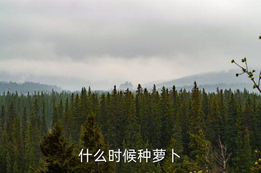 什么時候種蘿卜，什么時候種蘿卜