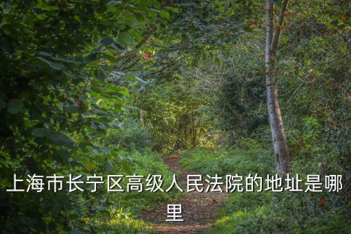 上海市長(zhǎng)寧區(qū)人民法院立案庭庭長(zhǎng)，上海市長(zhǎng)寧區(qū)高級(jí)人民法院的地址是哪里