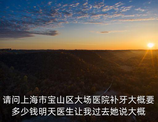 請問上海市寶山區大場醫院補牙大概要多少錢明天醫生讓我過去她說大概