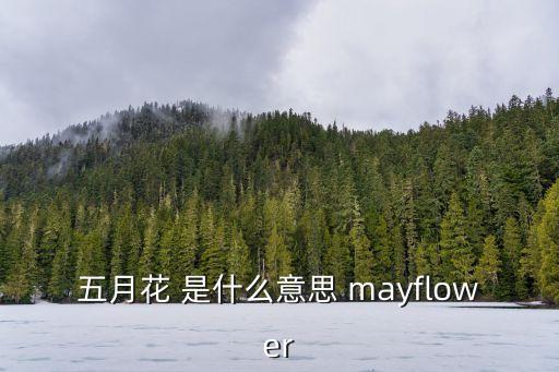 五月花，五月花是什么