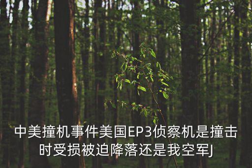 中美撞機事件美國EP3偵察機是撞擊時受損被迫降落還是我空軍J