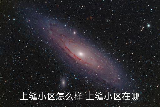 上海市漕陽企業發展有限公司，上海市徐匯區漕溪路251弄5號301室是什么公司
