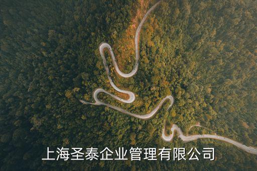 上海圣泰企業(yè)管理有限公司