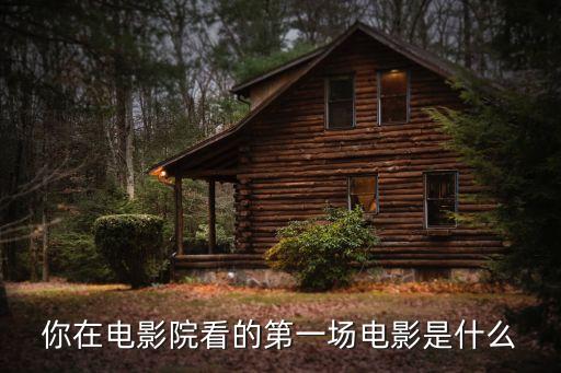 自虐的詩，日本知名女藝人今年與阿部寬一起主演了電影