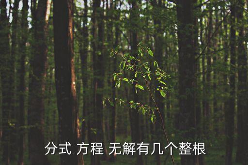 分式方程無解,數(shù)學(xué)函數(shù):分式方程的解應(yīng)代入最簡單公分母