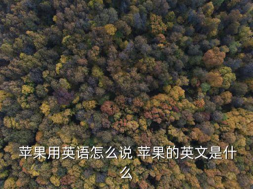  蘋果用英語怎么說 蘋果的英文是什么