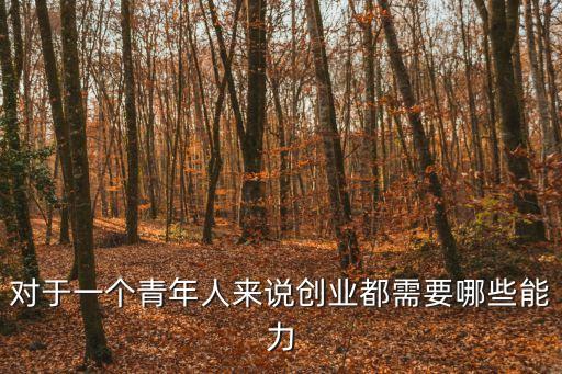 對于一個青年人來說創業都需要哪些能力
