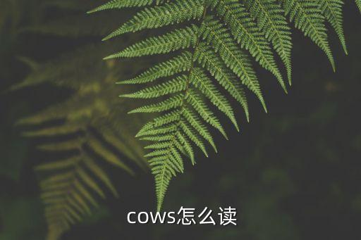 cow怎么讀,財(cái)富管理學(xué)院2020招聘新人