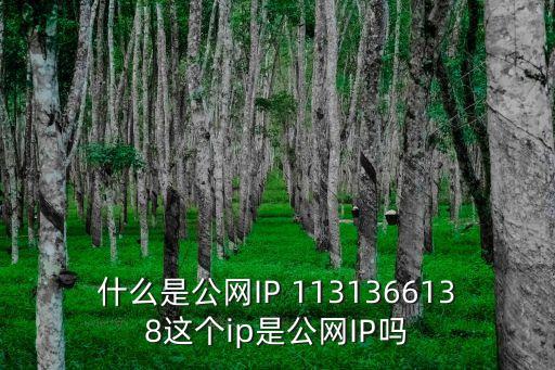公網ip地址，什么是公網IP 1131366138這個ip是公網IP嗎