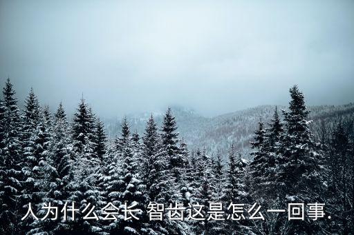 人為什么長智齒,第三磨牙在20歲左右亮相智齒