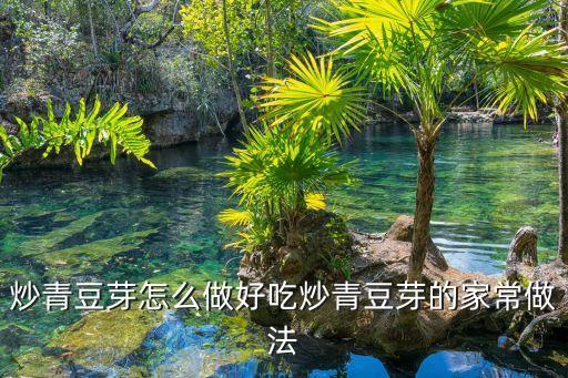 青豆芽怎么炒好吃，炒青豆芽怎么做好吃炒青豆芽的家常做法