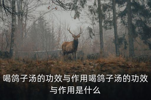 喝鴿子湯的功效與作用喝鴿子湯的功效與作用是什么