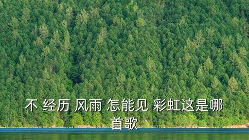 不經歷風雨怎能見彩虹,第二集:風雨也能看彩虹