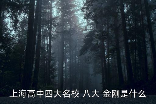 八大金剛,上海四大名校包括上海中學(xué)、華大附中、交大