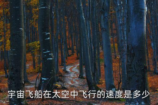 宇宙飛船的速度，宇宙飛船在宇宙中航行的最快速度能達到多少