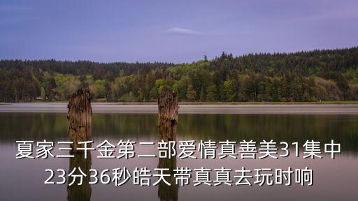 曾皓天 上海市民辦新虹橋中學，上海市新虹橋中學