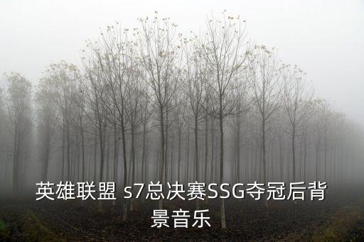 英雄聯盟 s7總決賽SSG奪冠后背景音樂