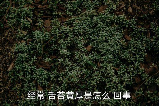 舌苔厚黃是怎么回事