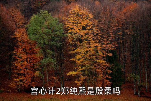 宮心計2鄭純熙是殷柔嗎