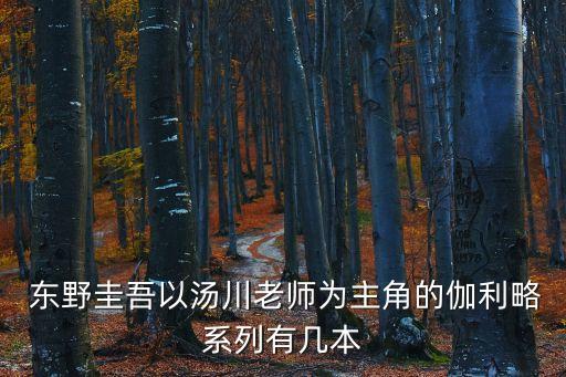 東野圭吾的書有哪些,日本作家東野圭我成為天王級作家