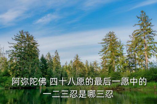 阿彌陀佛四十八愿