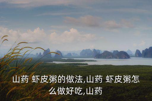 蝦皮粥的做法,第二招沒(méi)有鮮蝦蝦皮!米飯加蝦仁丸子煮成稀飯