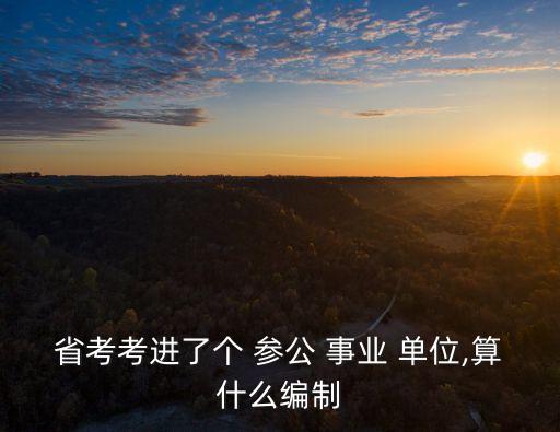 參公事業(yè)單位,no參公事業(yè)單位的工資比參公單位高!