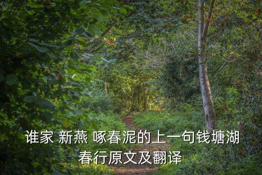  誰家 新燕 啄春泥的上一句錢塘湖春行原文及翻譯