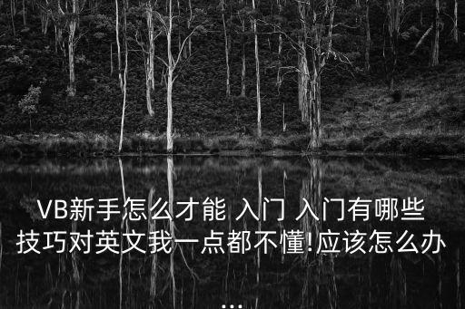 vb編程入門,如何安裝51個應用程序?一文看懂