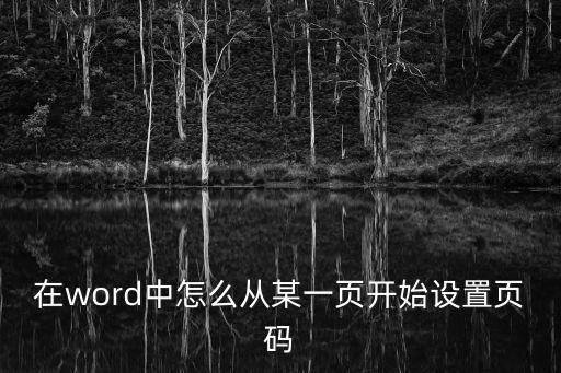 在word中怎么從某一頁開始設置頁碼