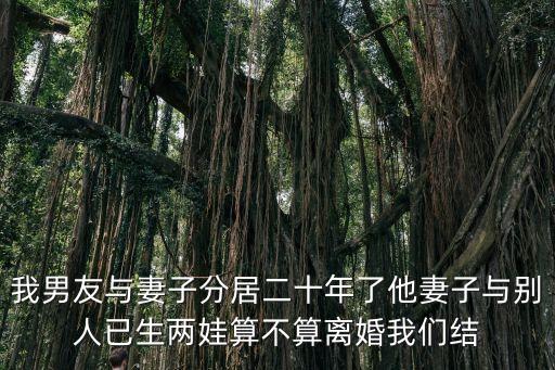 我男友與妻子分居二十年了他妻子與別人已生兩娃算不算離婚我們結