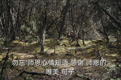 勿忘 師恩心情短語 感謝 師恩的 唯美 句子