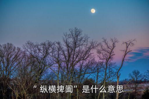 縱橫是什么意思,縱橫做愛，各戴一尊
