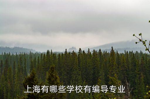 上海有哪些學(xué)校有編導(dǎo)專業(yè)
