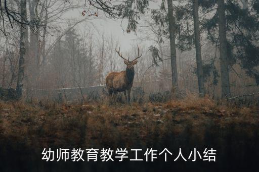 教育教學經驗總結，幼師教育教學工作個人小結