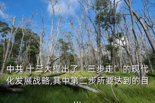 中共 十三大提出了“三步走”的現代化發展戰略,其中第二步所要達到的目...