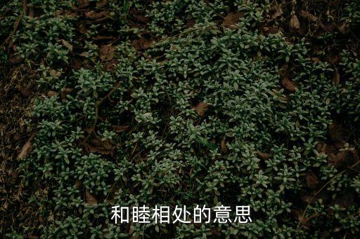  和睦相處的意思