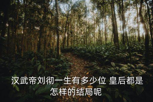 漢武帝皇后,武漢廢黜阿嬌表妹阿娥是武漢昭帝生母