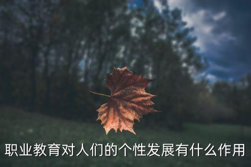 職業教育對人們的個性發展有什么作用