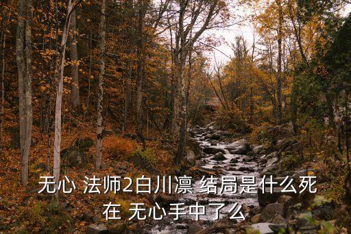 無心法師2結局,原來我已經忘了岳的名字了