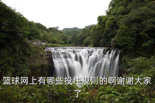 籃球網(wǎng)上有哪些投注規(guī)則的啊謝謝大家了
