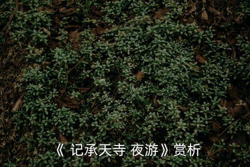 記承天寺夜游背景,作者十八個字描寫雨夜景色如畫